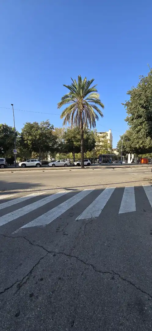 Terreno residencial en venta en Carrer del Doctor Ferran 18, imagen 18