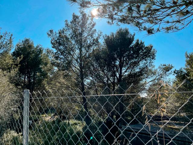 Terreno en Venta en Valldemossa