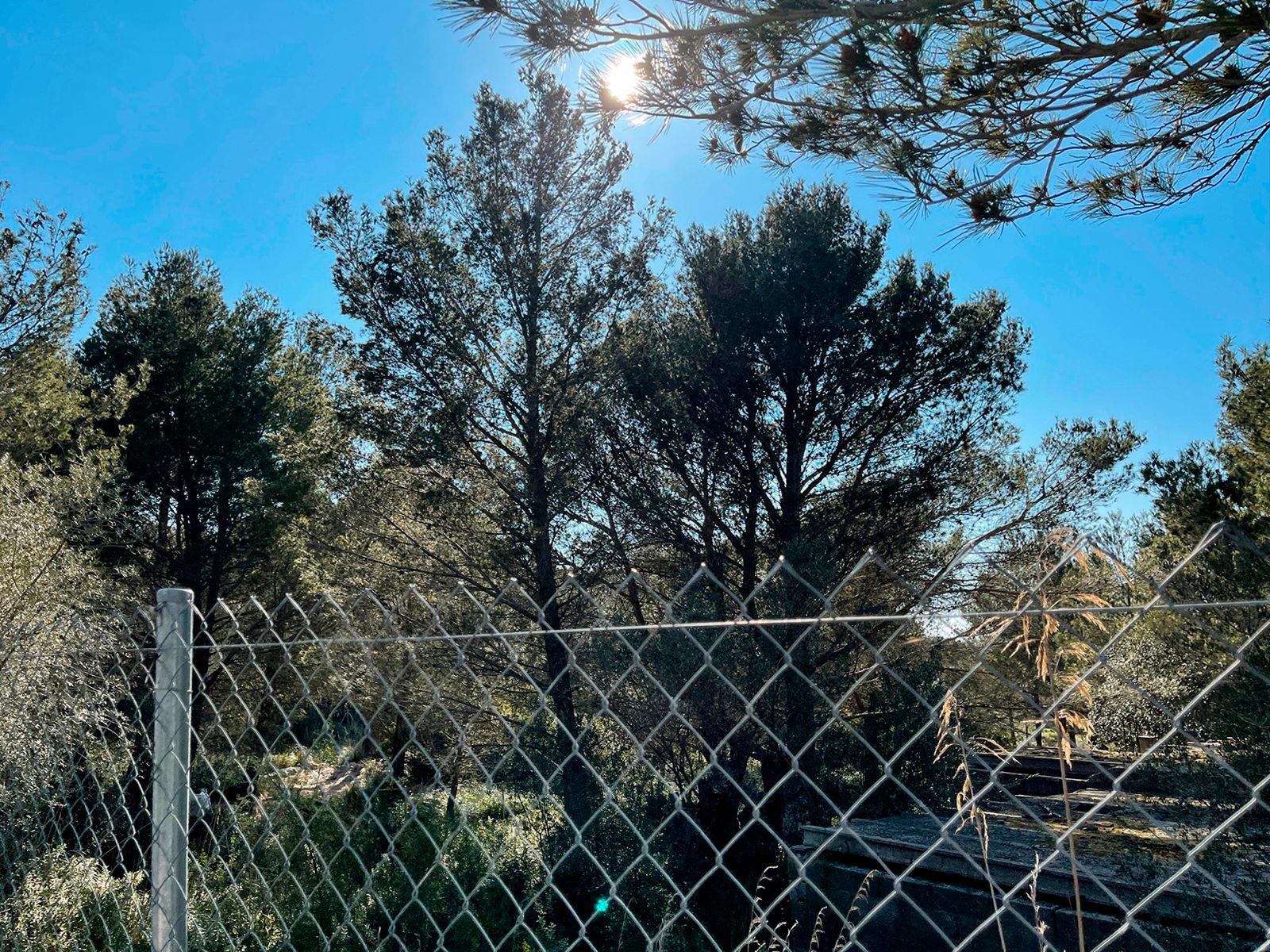 Land for sale in Valldemossa