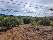 Terrain rustique à vendre à La Loma - Las Lomas, imagen 13