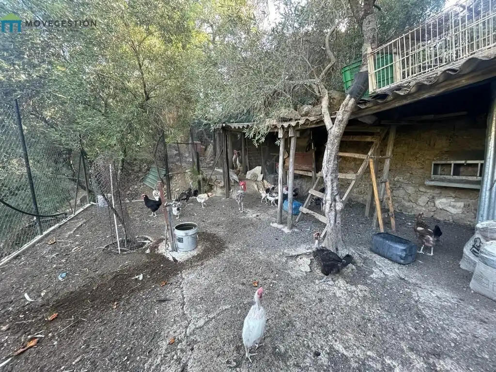 Vista exterior de Finca rústica en venta en Benaocaz con Jardín privado, Terraza y Trastero