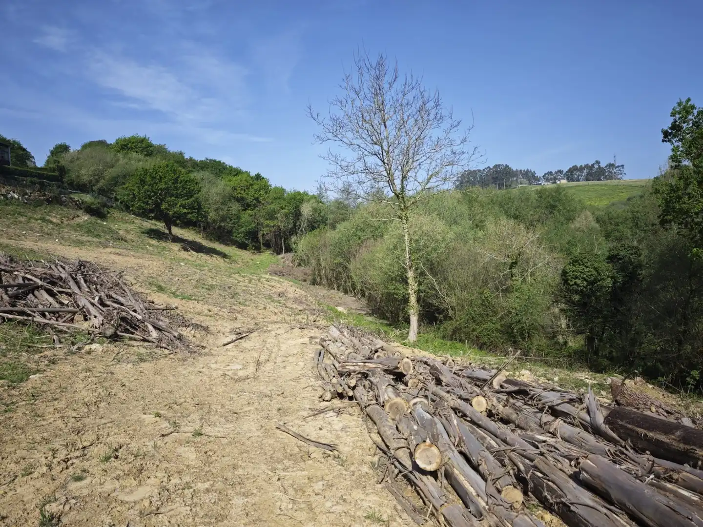 Terreni e lotti in vendita a Oruña, imagen 2