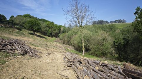 Photo 2 of Land for sale in Oruña, Piélagos