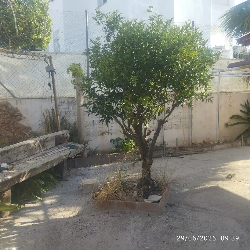 Casa o xalet en venda en Torrox amb Aire condicionat, Calefacció i Jardí privat