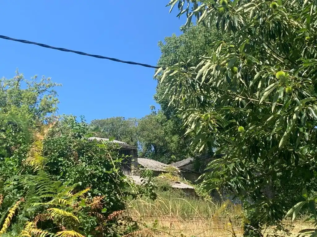 Maison à vendre à Pereira- Carballo, imagen 20
