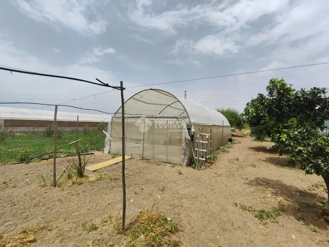 Casa rústica amb jardí en venda a Los Palacios y Villafranca, imagen 35