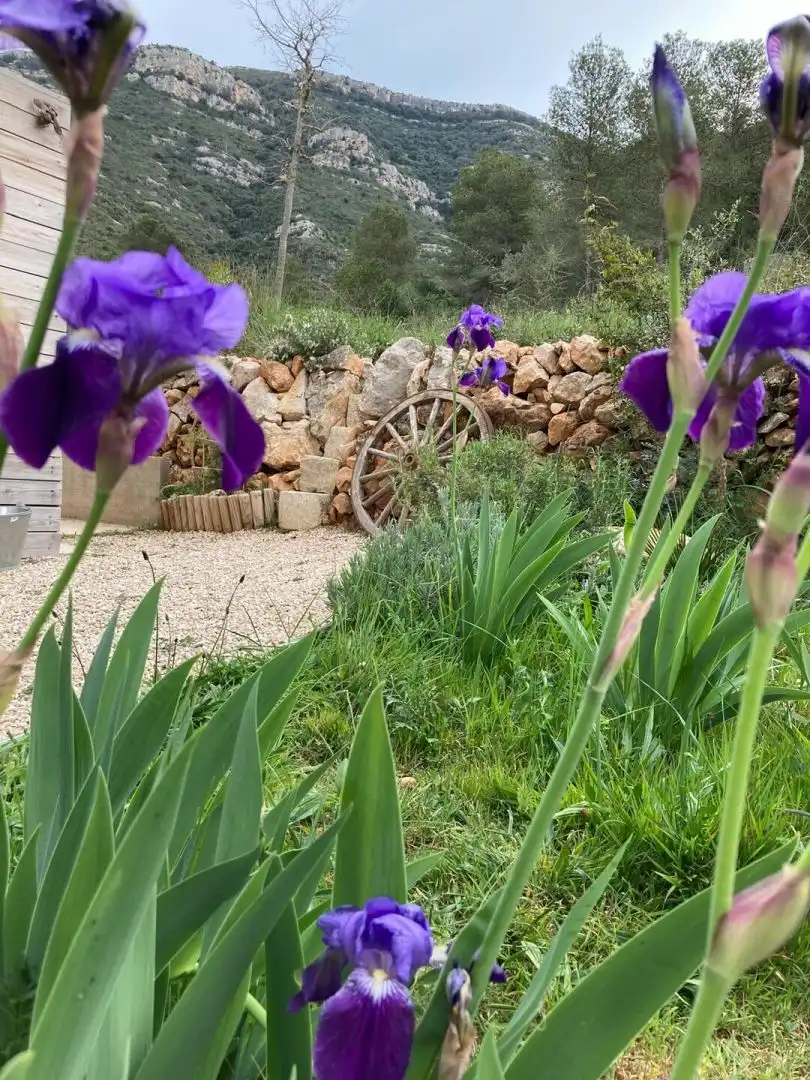 Jardín de Finca rústica en venta en Freginals con Terraza y Trastero