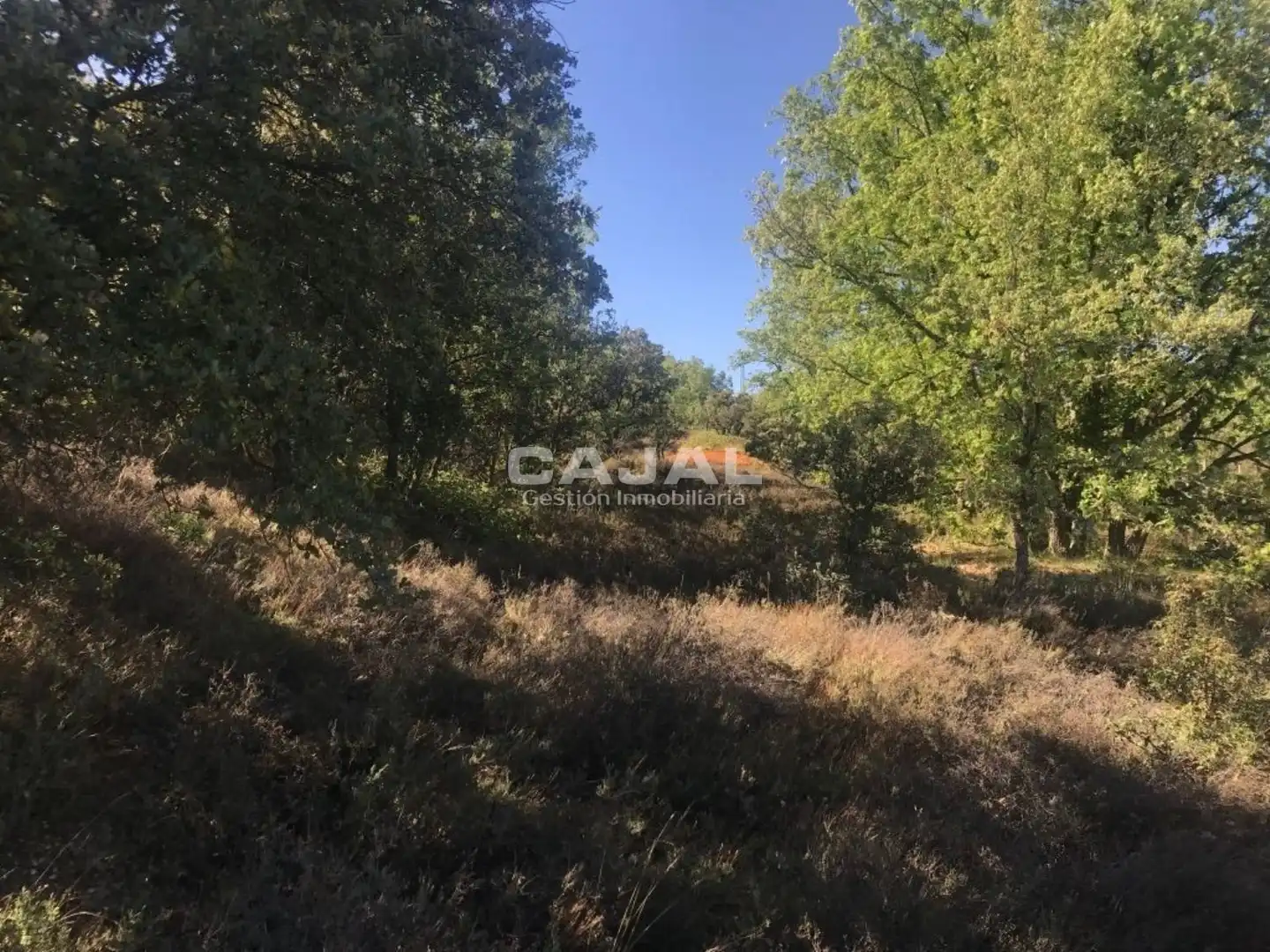 Terreni e lotti in vendita a poligono 6 parcela 6030, imagen 10