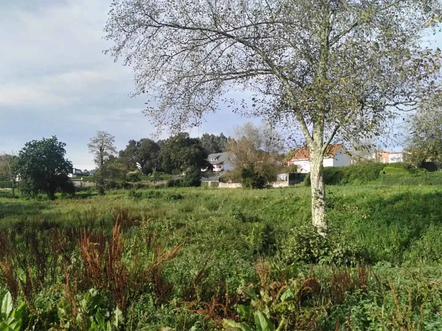 Piso de alquiler en Sada (A Coruña)