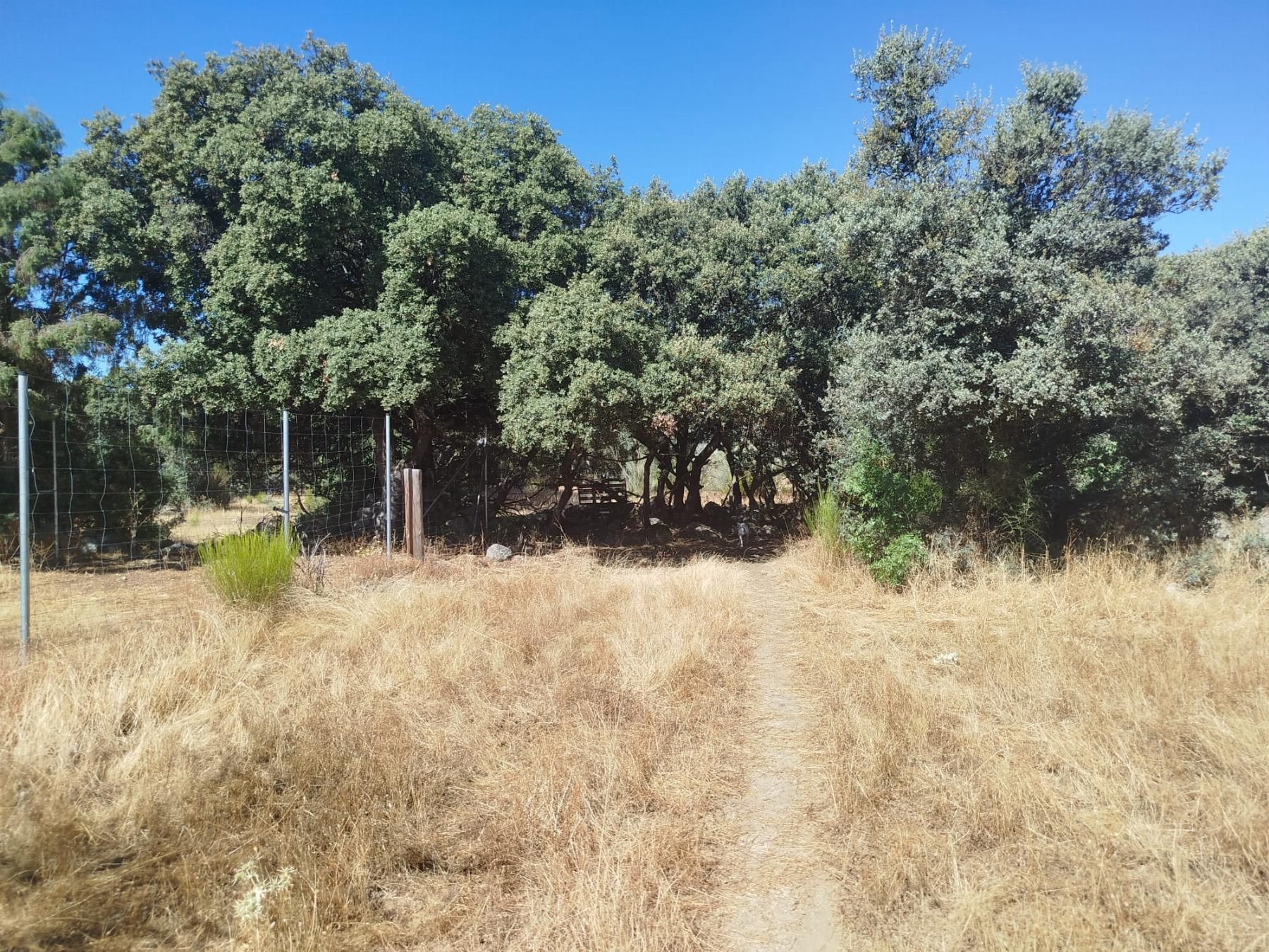 Finca rústica en venta en La Oliva
