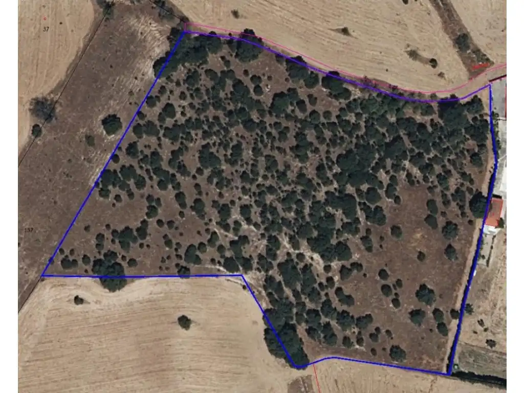 Rustikales Grundstück zum Verkauf in La Dehesa - El Pinar, imagen 2