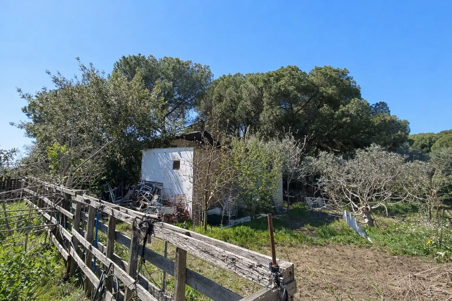 Finca rústica en venda en Andújar amb Jardí privat i Terrassa