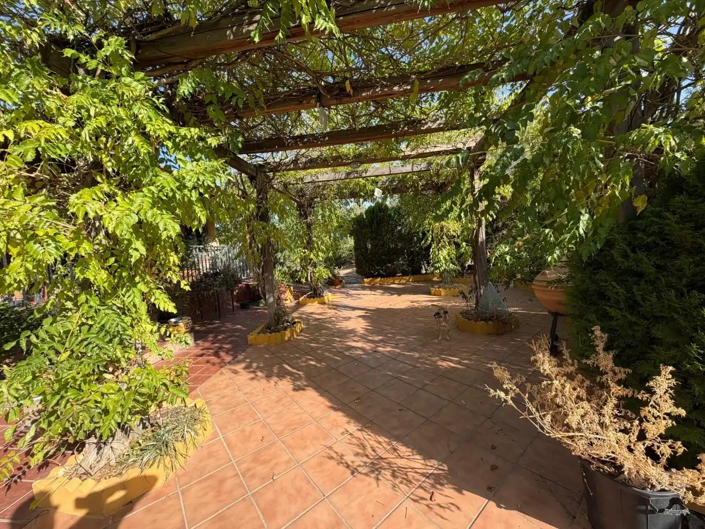 Casa en venta en Arroyo de la Luz, imagen 3