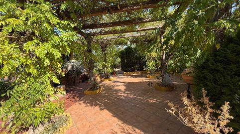 Foto 3 de Casa o chalet en venta en Arroyo de la Luz, Cáceres