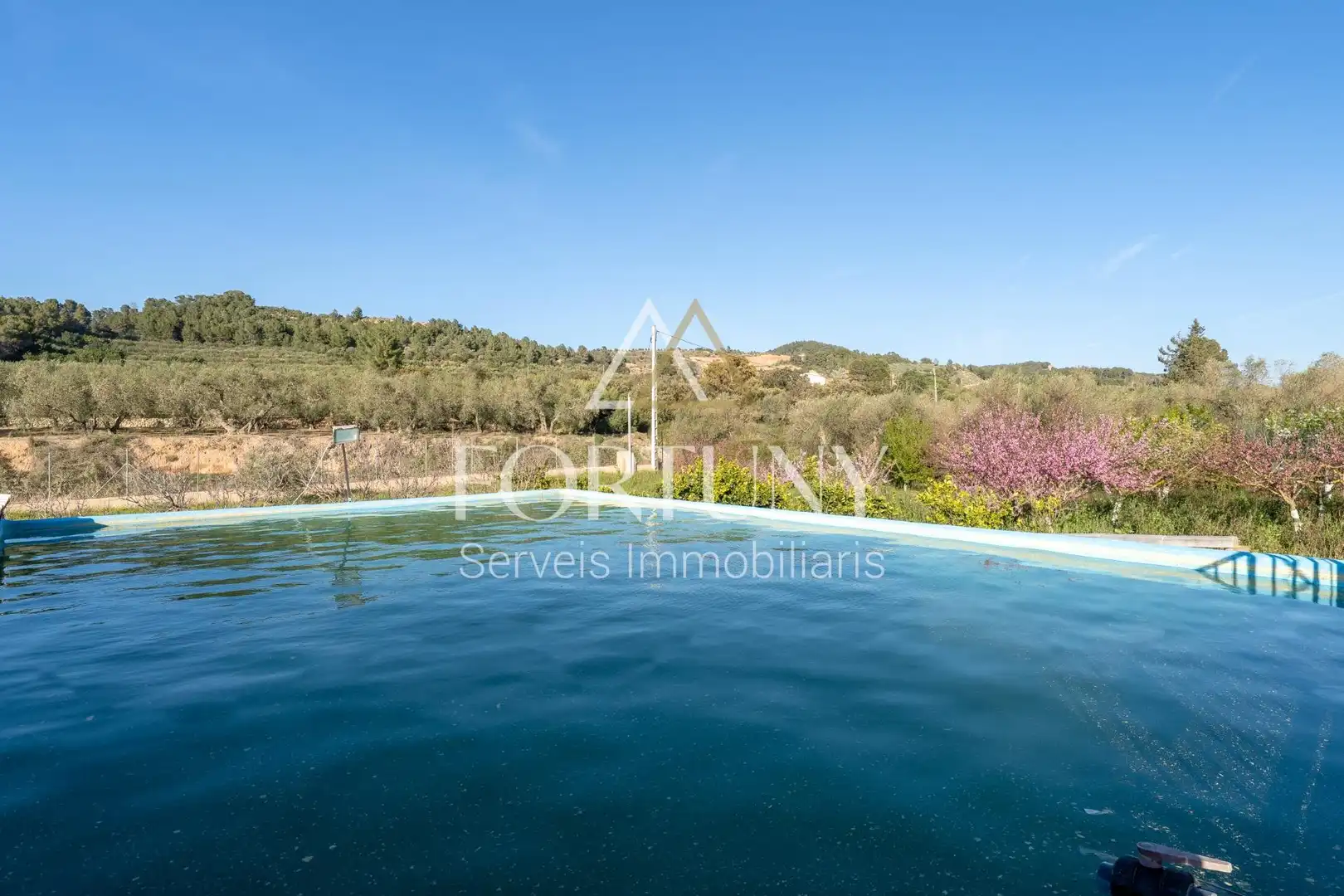 Swimming pool of Country homes for sale in L'Aleixar