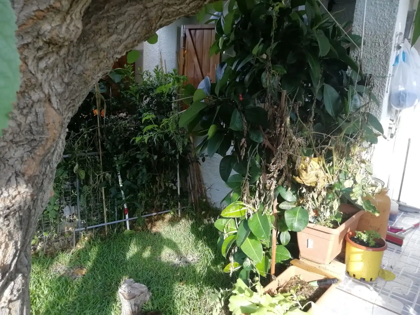Apartament amb piscina en venda a Carrer Telègraf 5, imagen 18