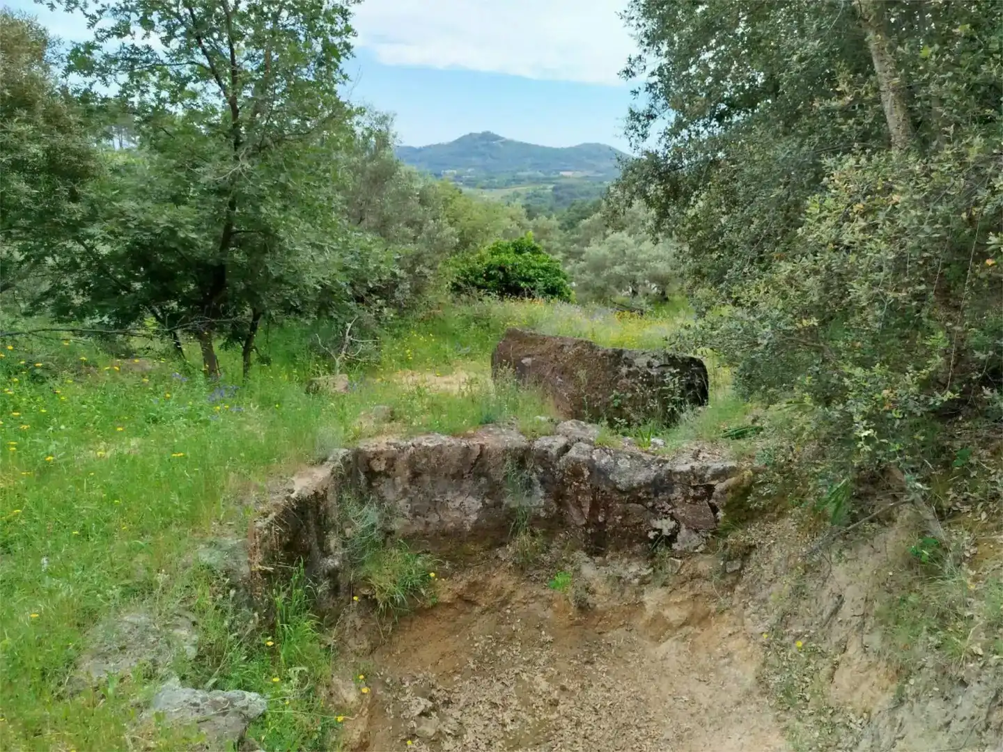 Land for sale in Torre de Don Miguel