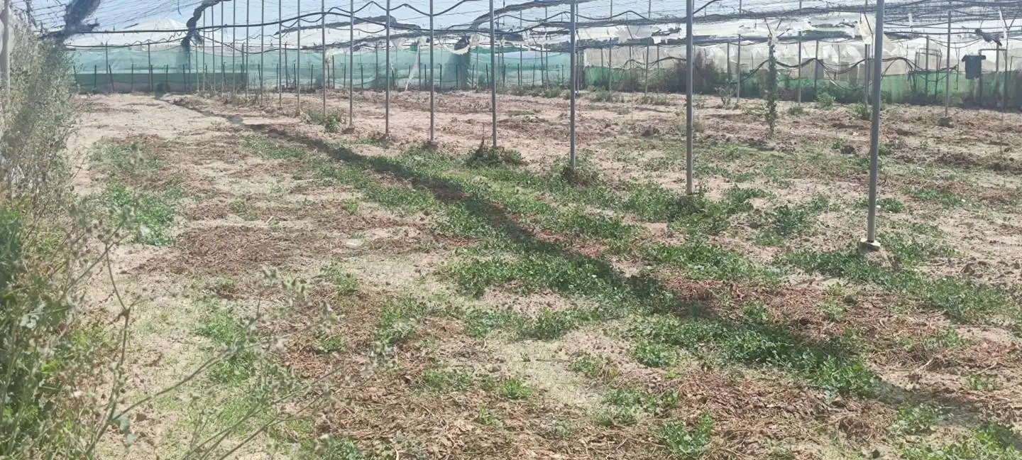 Terreni e lotti in vendita a De La Reyerta, imagen 4