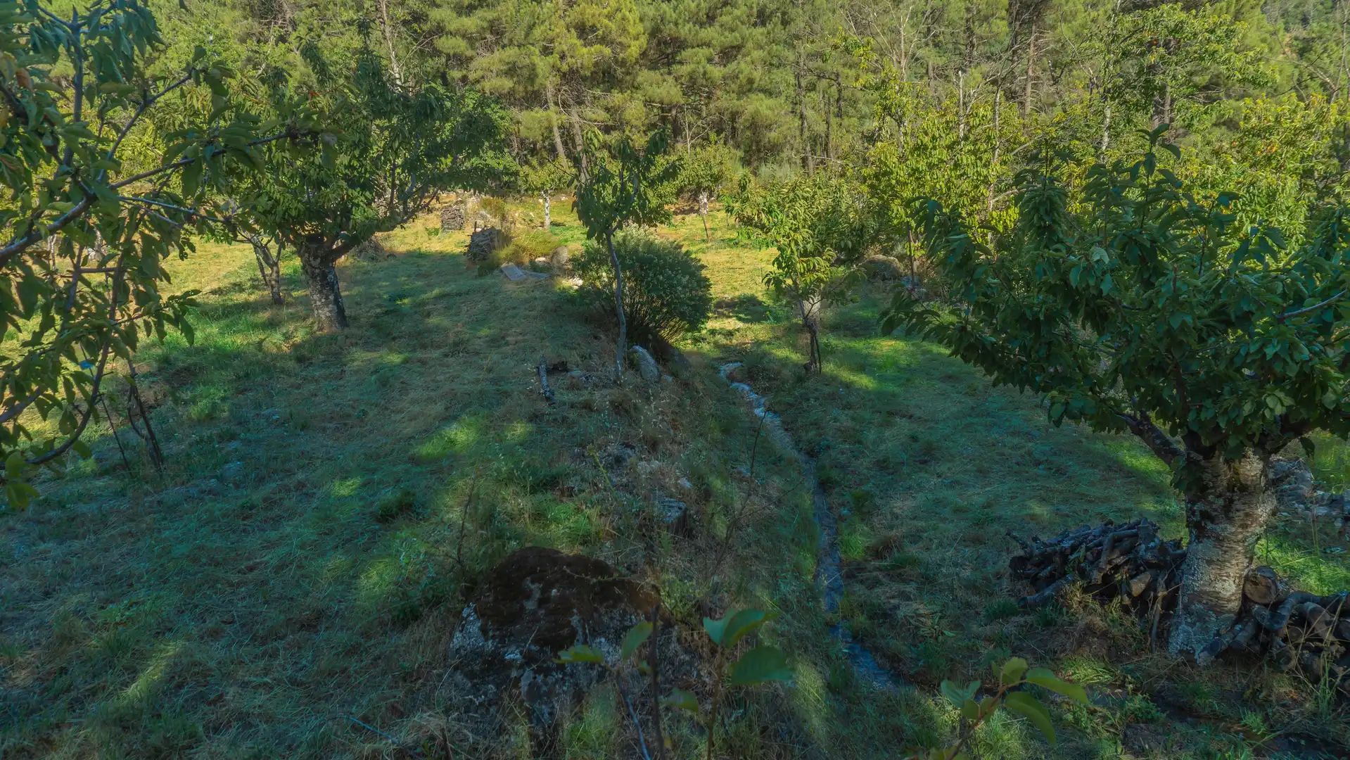 Casa o xalet en venda en El Hornillo 