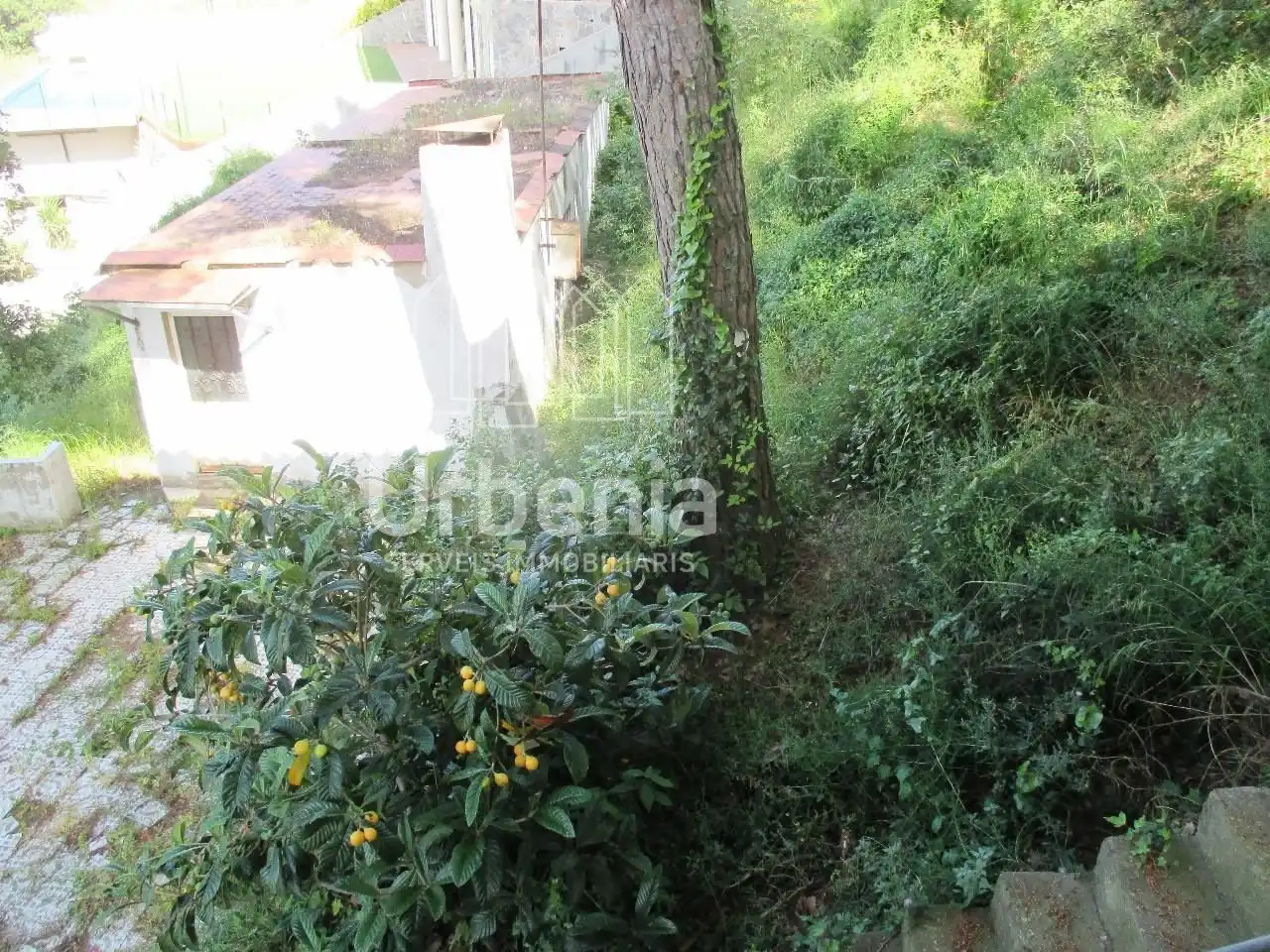 Villa avec jardin à vendre à Urbanitzacions, imagen 4