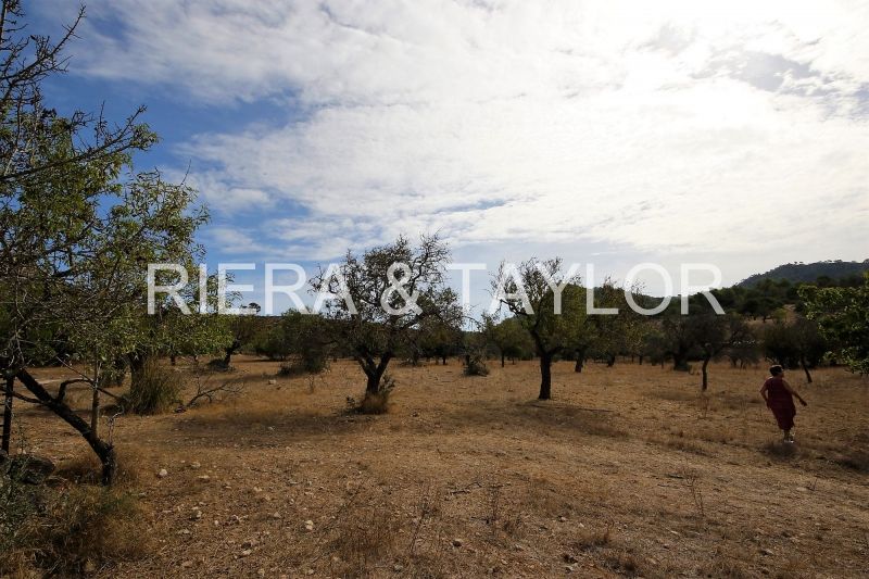 Finca rústica en venda en Sant Llorenç des Cardassar
