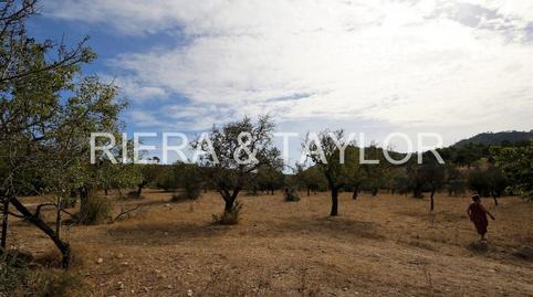 Photo 2 of Country house for sale in Sant Llorenç des Cardassar, Illes Balears