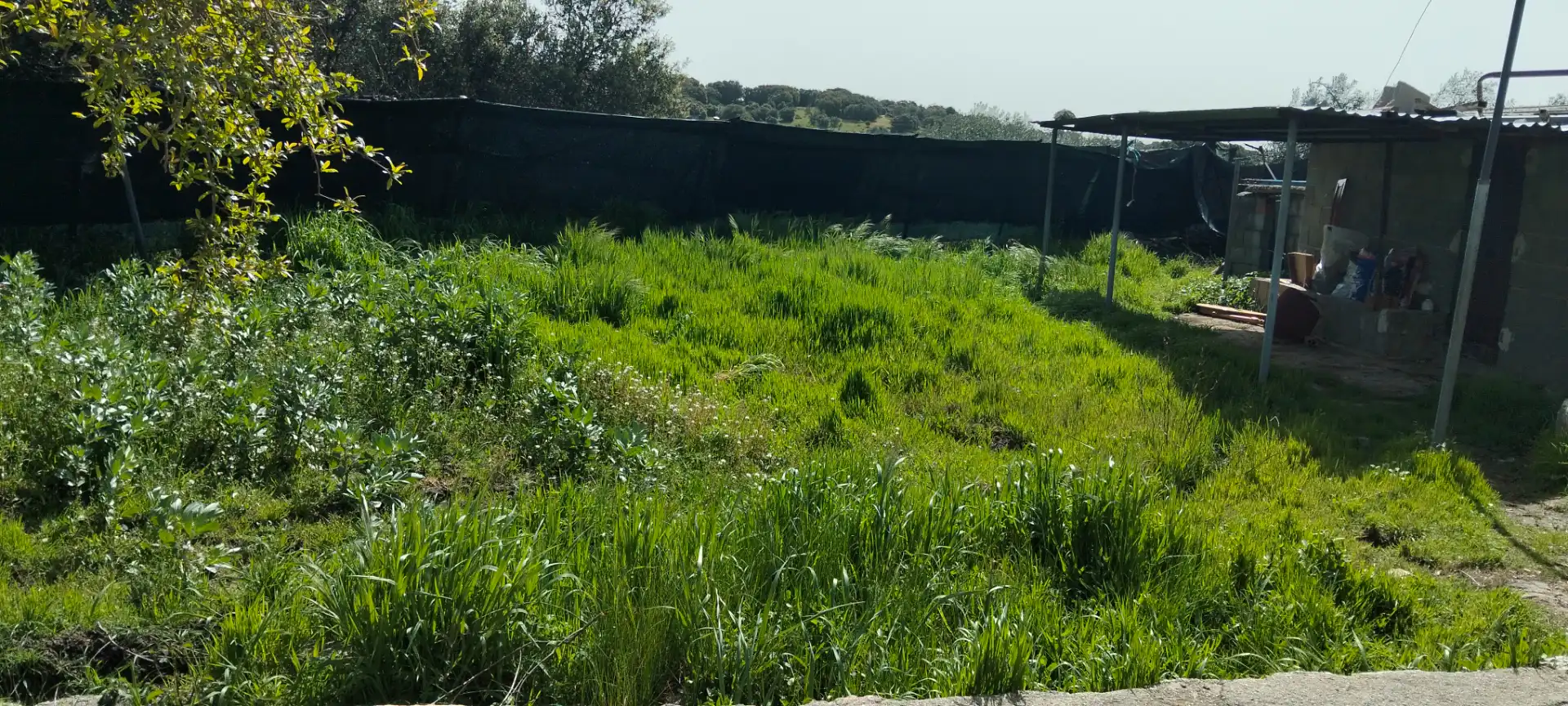Houses for sale in Cenicientos  with Private garden, Terrace and Storage room