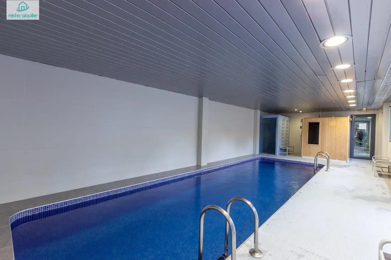 Swimming pool of Apartments for rent in El Campello  with Air Conditioner, Private garden and Furnished