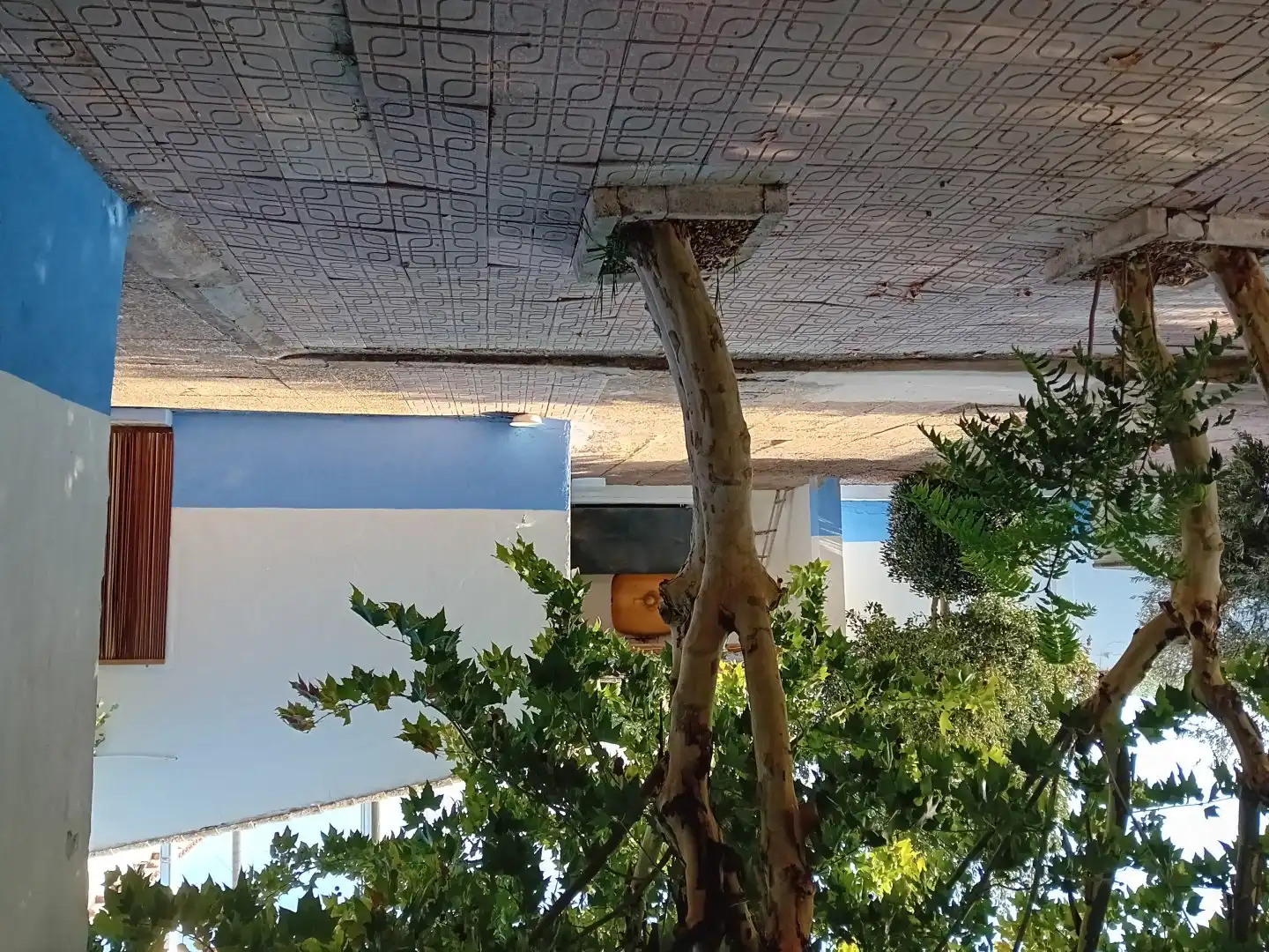 Außenansicht von Country house zum Verkauf in Calzada de Calatrava mit Klimaanlage, Heizung und Terrasse