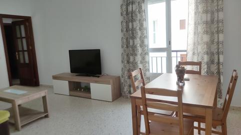 Foto 4 de Piso de alquiler en Calle Sargenta, El Pino - Bajo de Guía, Sanlúcar de Barrameda