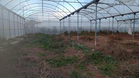 Photo 4 of Land for sale in Cv-84, 9005, El Toscar, Alicante