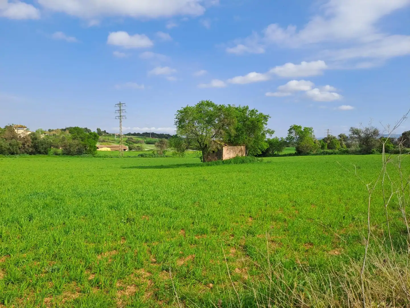 Land for sale in Terrassa