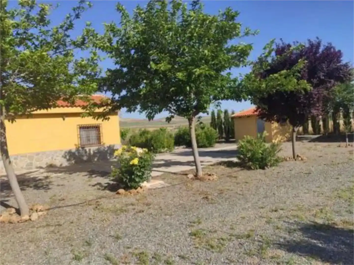 Vista exterior de Finca rústica en venda en Consuegra amb Jardí privat i Moblat