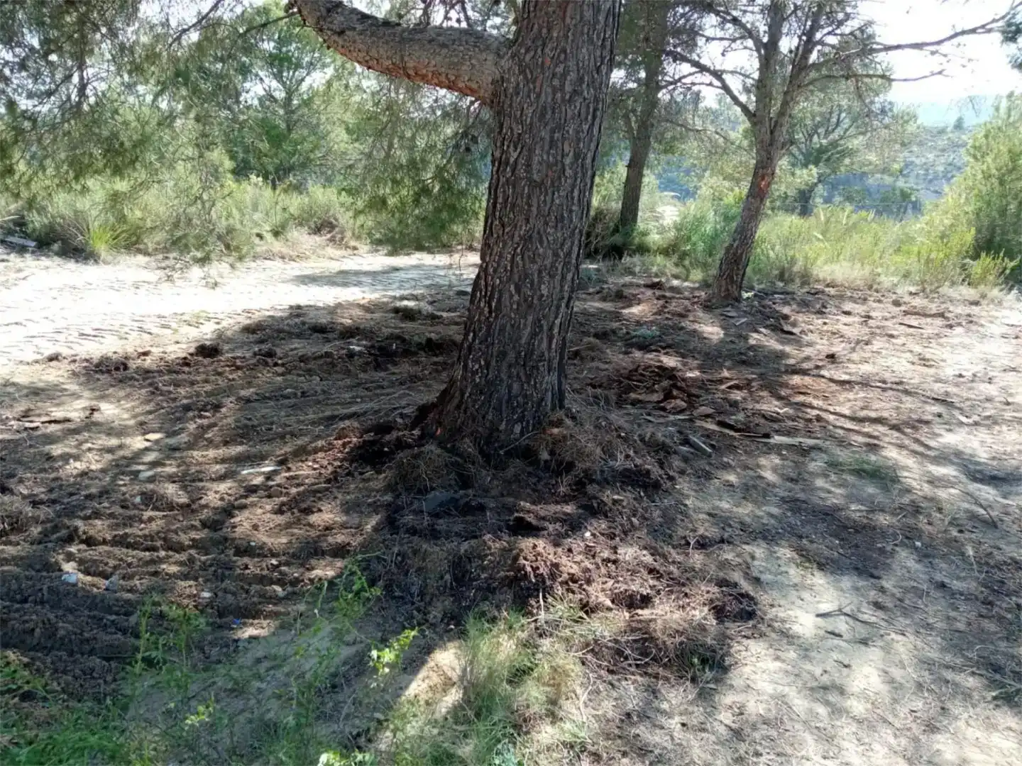 Terreno en venta en Busot