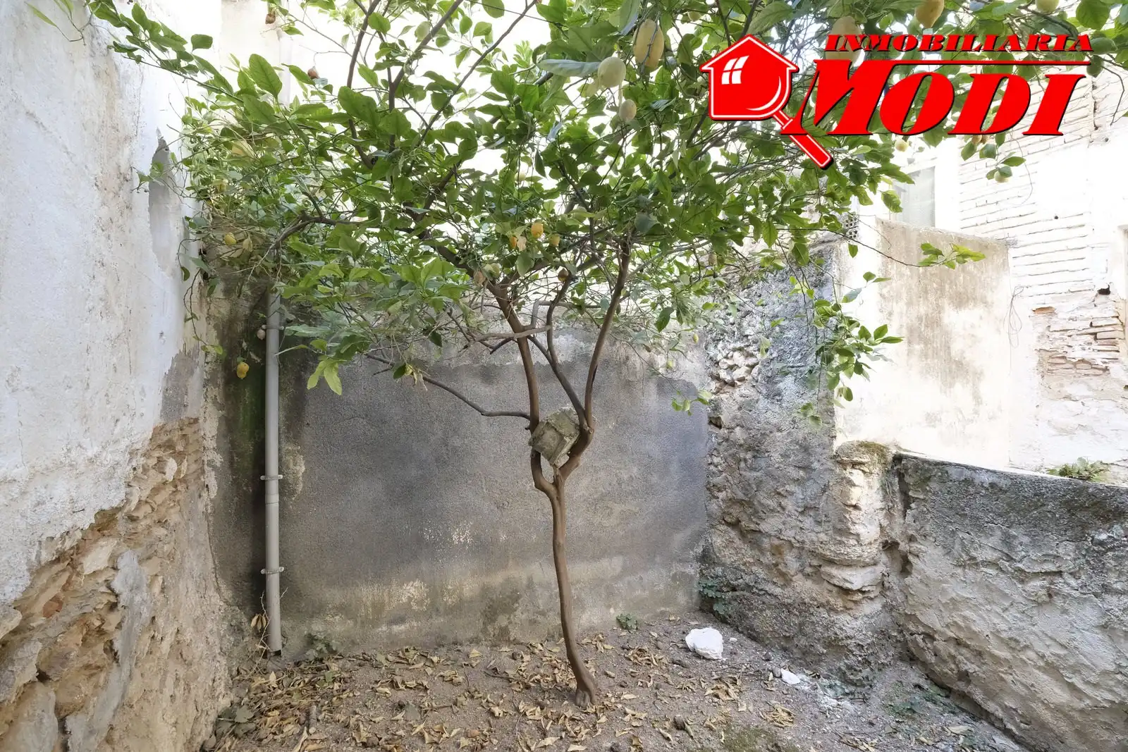 Garden of Houses for sale in Padul  with Private garden, Terrace and Balcony