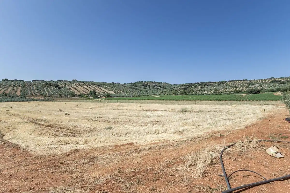 Land for sale in Montefrío