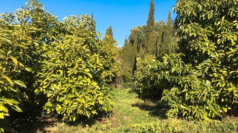 Foto 5 de Finca rústica en venda a Lecrín, Granada