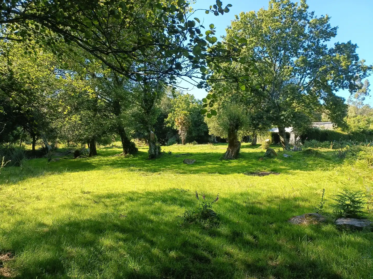 Casa o chalet en venta en Oza dos Ríos con Jardín privado y Trastero