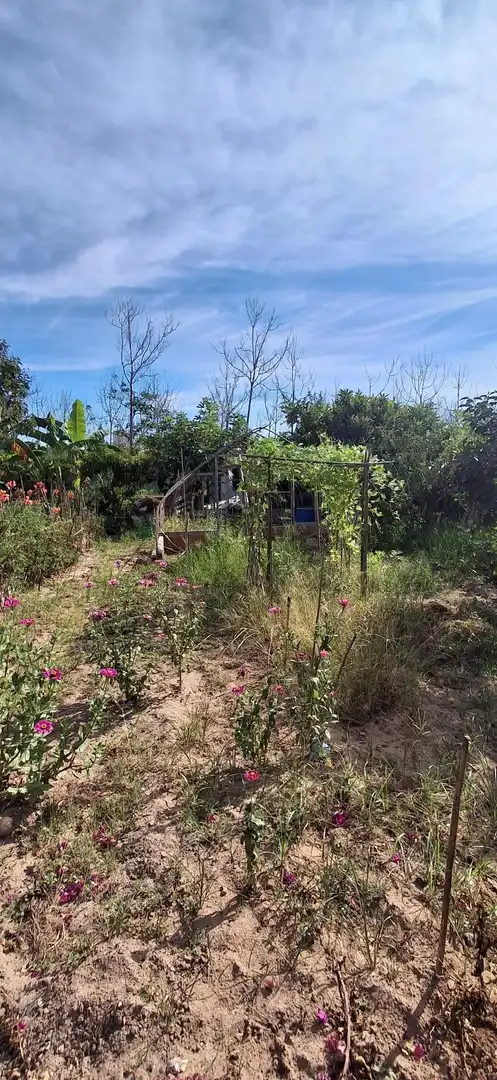 Casa o chalet en venta en Cullera con Jardín privado y Terraza