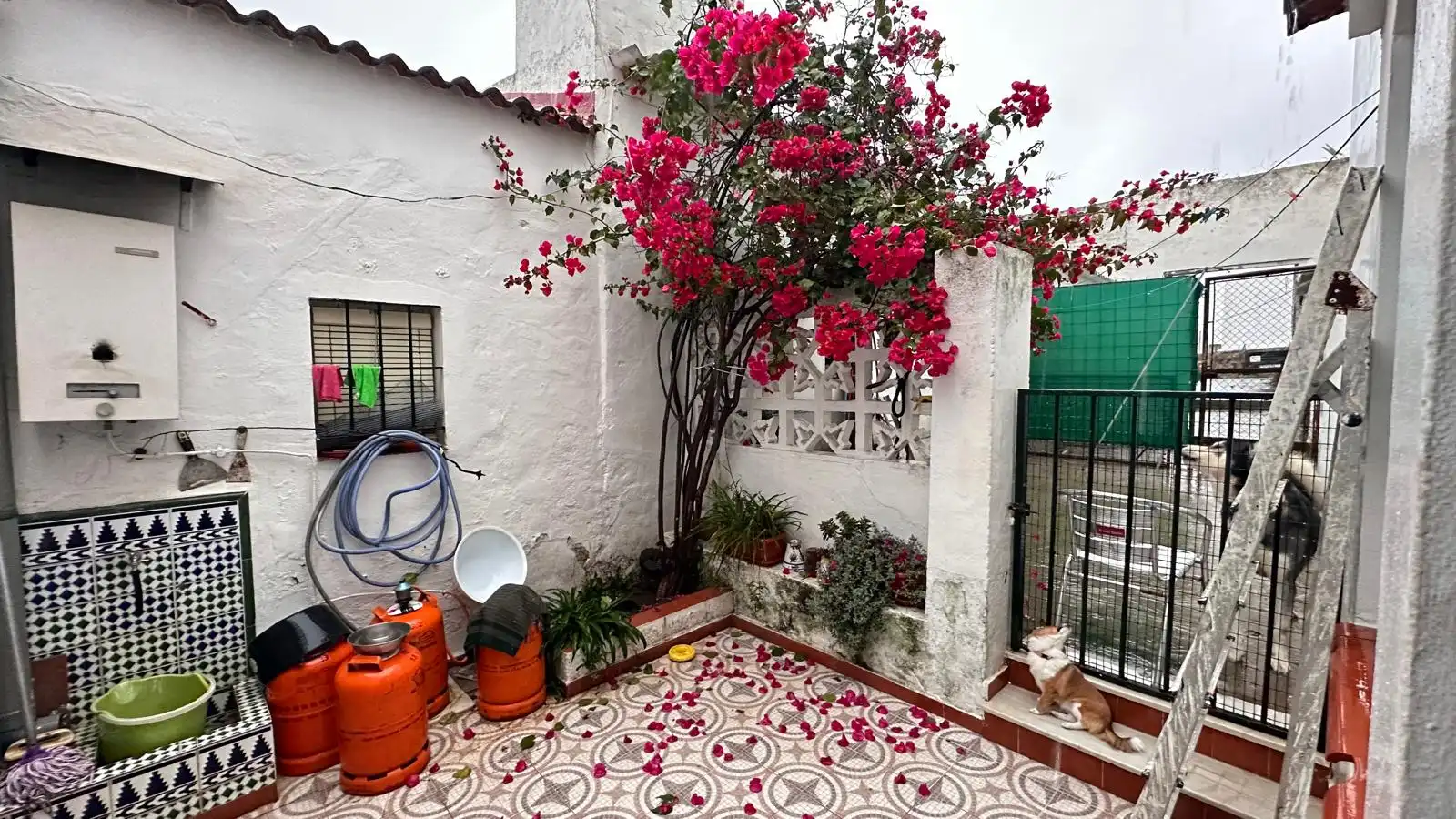 Detached homes for sale in Aznalcázar