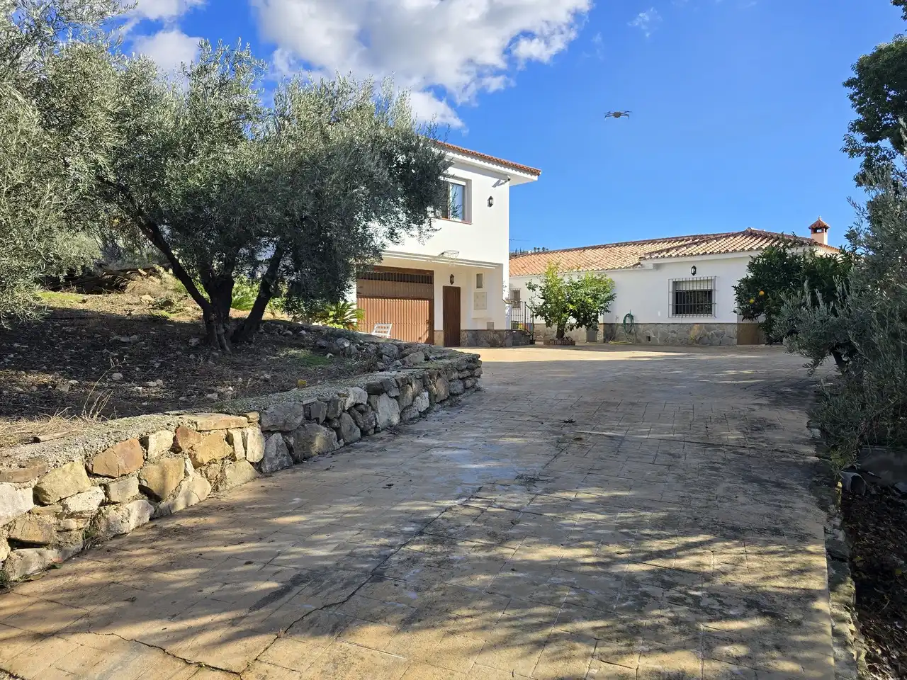 Vista exterior de Casa o chalet en venta en Periana con Aire acondicionado, Terraza y Piscina