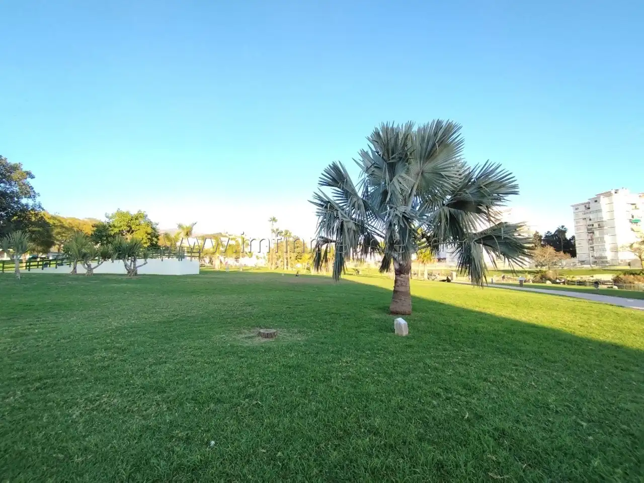 Jardín de Trastero en venta en Vélez-Málaga