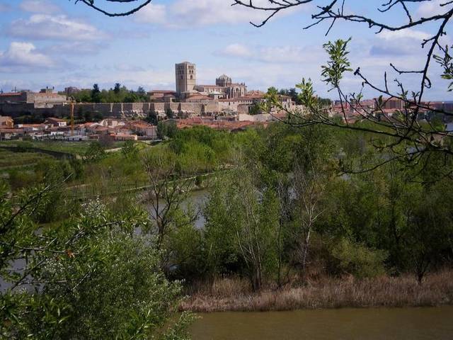 Terreno residencial en Venta en Carretera Carrascal, 16 en Área Rural