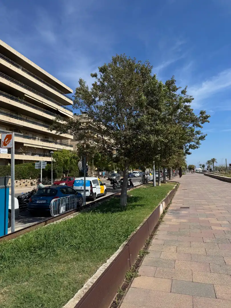 Pis amb terrassa en venda a Carrer Prat de la Riba 7, imagen 54