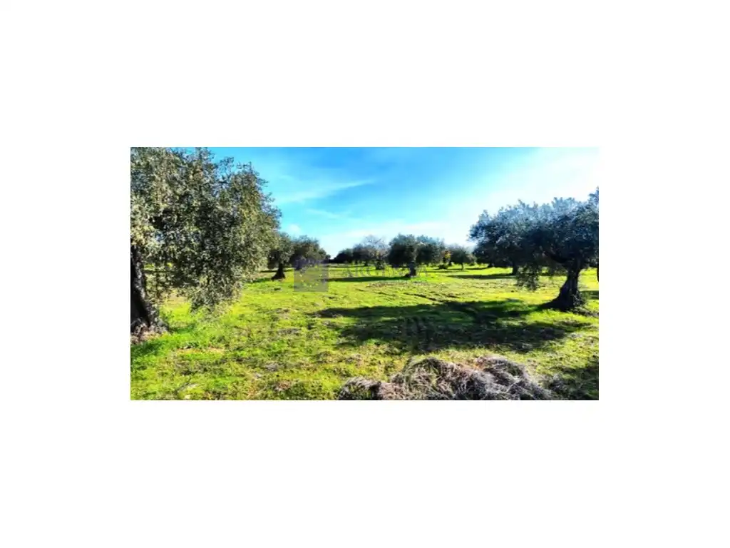 Terreni e lotti in vendita a Lugar Camino Del Monte, imagen 4