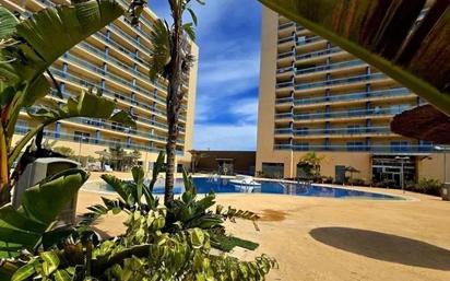 Swimming pool of Flat for sale in Guardamar del Segura  with Air Conditioner, Heating and Private garden