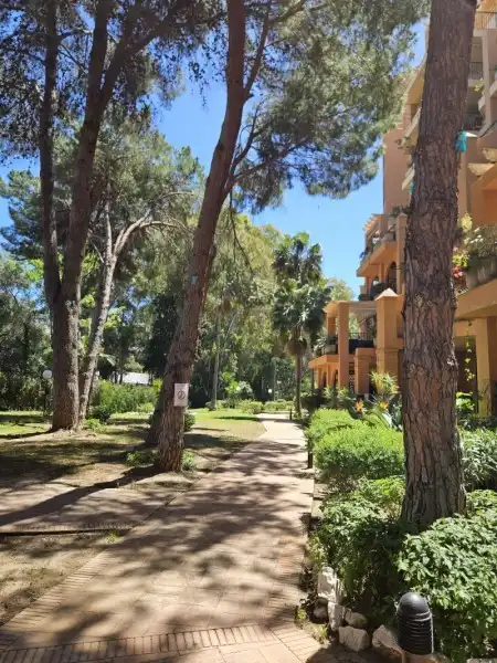 Exterior view of Flat for sale in Fuengirola  with Terrace, Swimming Pool and Community pool