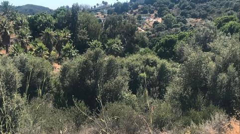 Foto 3 de Residencial en venta en Camino Nicola, El Velerín, Málaga