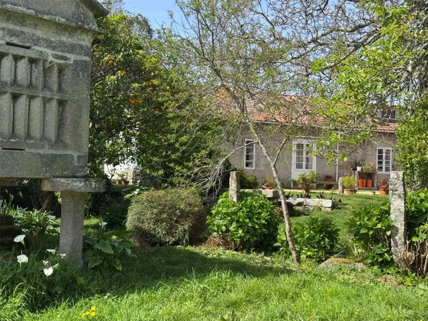 Jardí de Casa o xalet en venda en Meis
