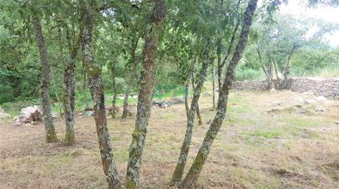 Foto 2 de Residencial en venda a Allariz, Ourense